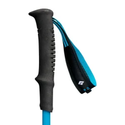 Black Diamond Distance Carbon FLZ vandrestave 125 - 140 cm (Desert Sky)