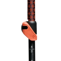 Black Diamond Trail Cork vandrestave (Fig)