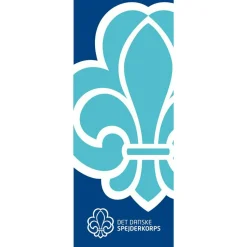 DDS Flag 350*150cm
