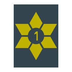 DDS Årsstjerne