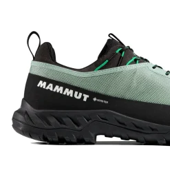 Mammut Alnasca IV Low GTX approachsko, herre (Deep Silver Sage / Pinea)