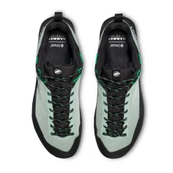 Mammut Alnasca IV Low GTX approachsko, herre (Deep Silver Sage / Pinea)